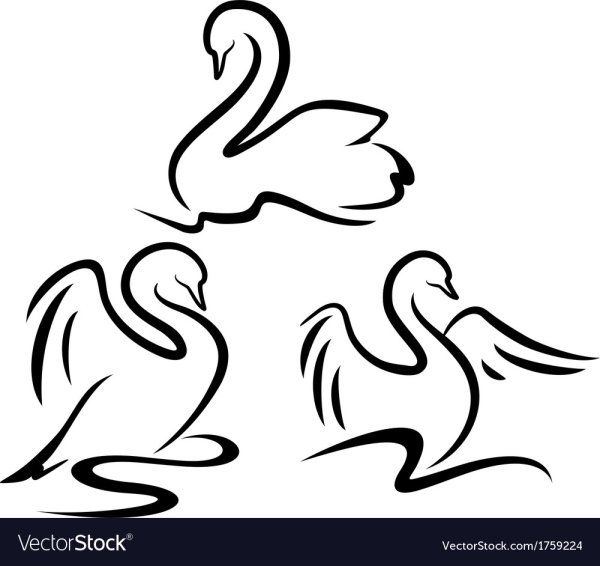 Лебедь вектор
