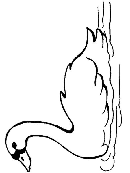 Лебедь векторный