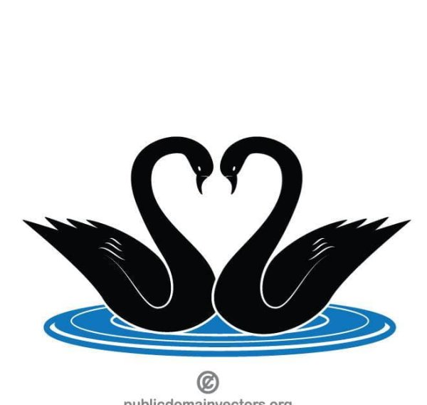 Лебеди (птицы)