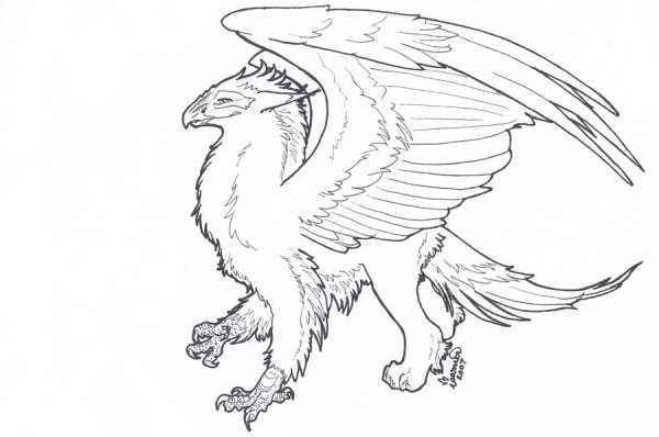 Раскраски Гарри Поттер Клювокрыл