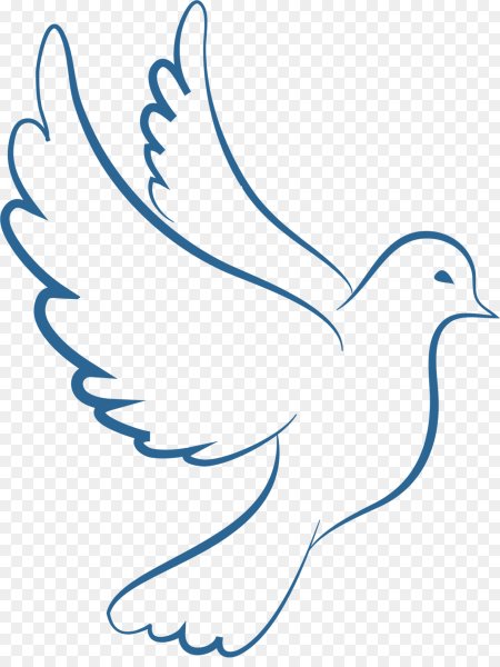 Голубь контур