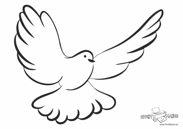 Голубь мира шаблон