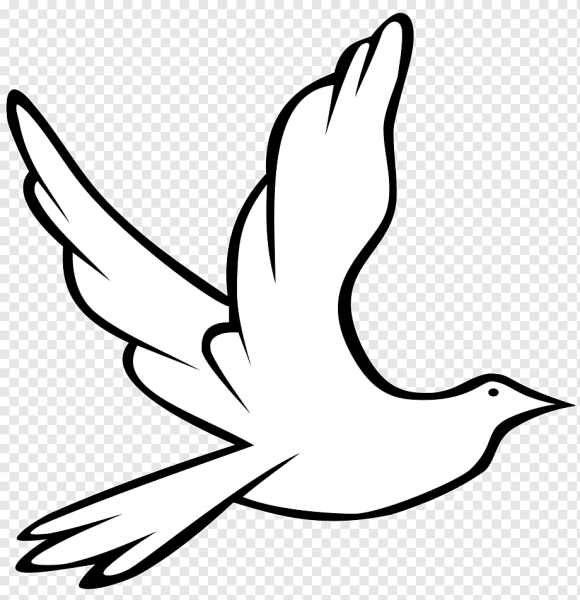 Голубь мира раскраска