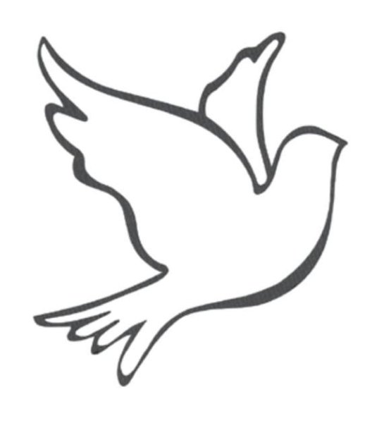 Голубь контур
