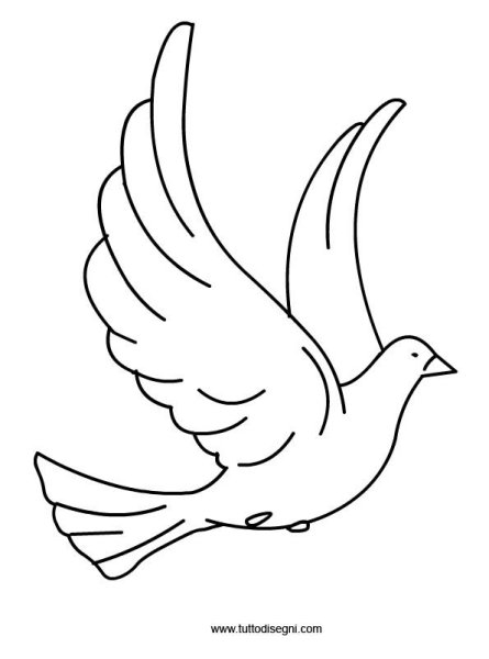 Голубь раскраска