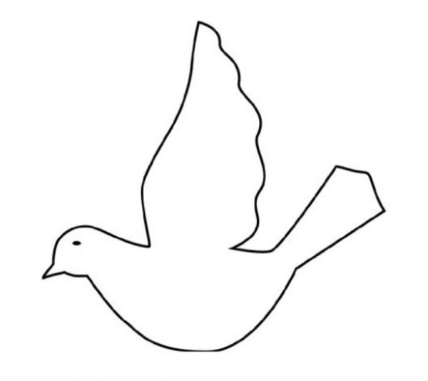 Голубь шаблон