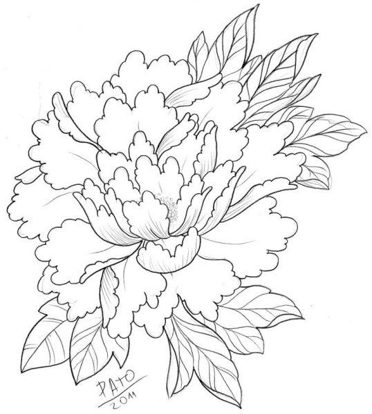 Цветочный трафарет для вырезания