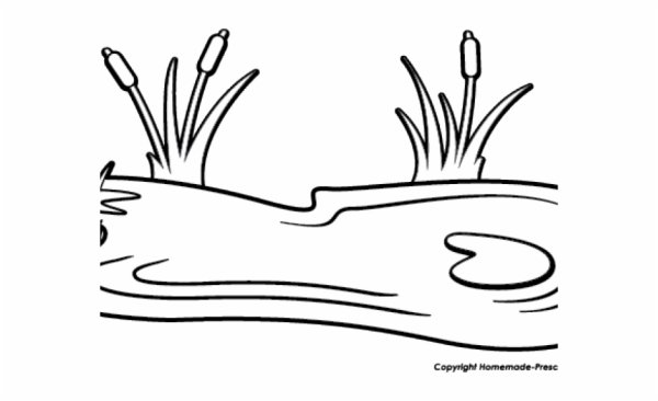 Раскраска водоем