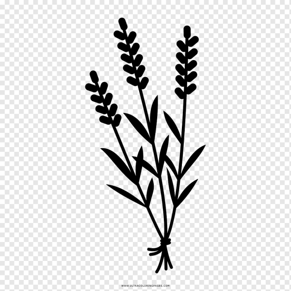 Веточка лаванды силуэт