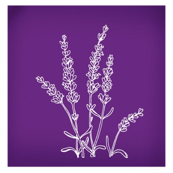 Веточка лаванды