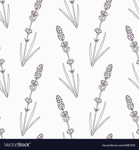 Цветок Лаванда контур