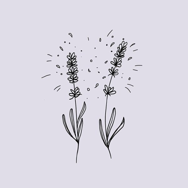 Лаванда Графика