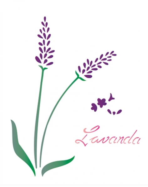 Трафареты цветов лаванды