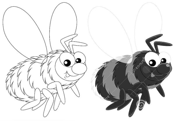 Пчела раскраска