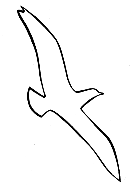 Контур Чайки