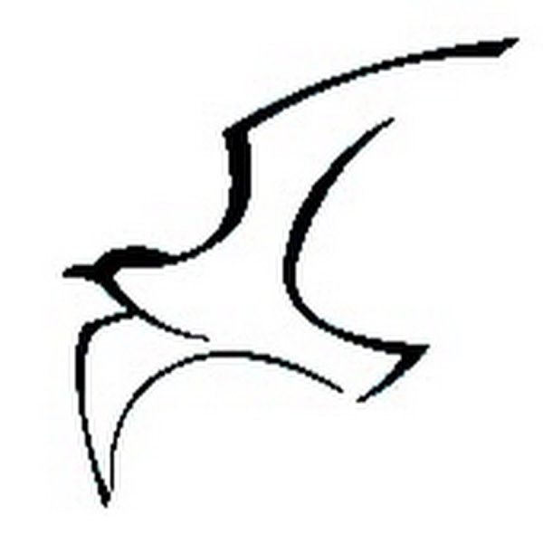 Чайка раскраска