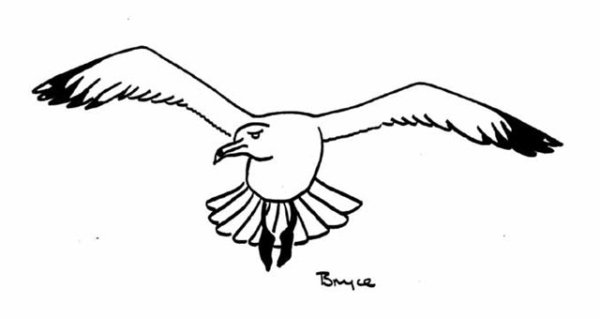 Трафарет Чайки для вырезания