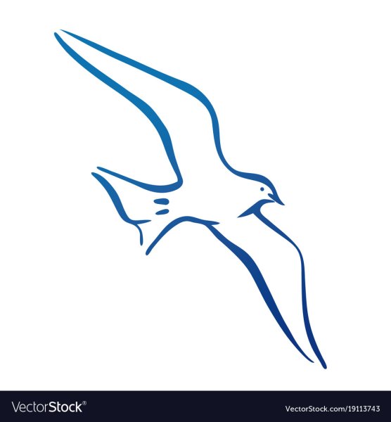 Контур Чайки