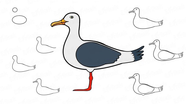 Трафарет чаек