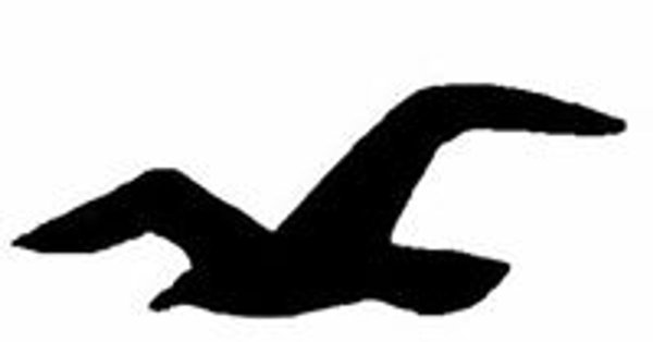 Птица черно белая