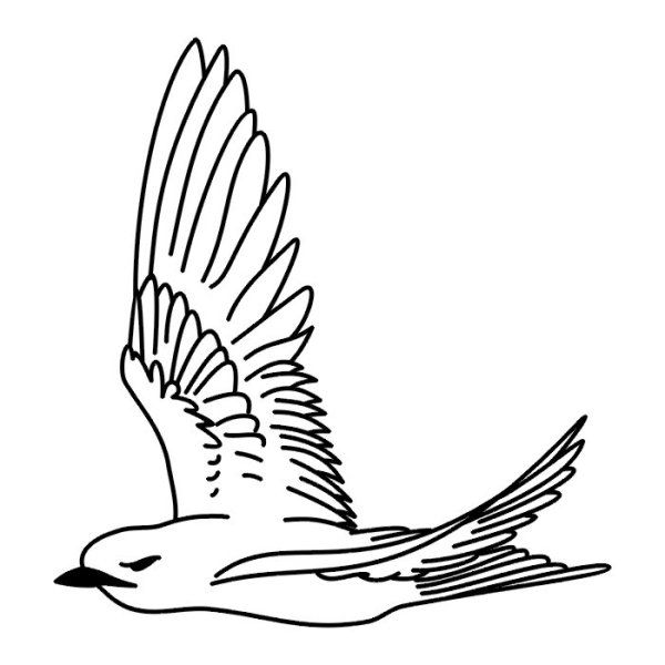 Чайка раскраска