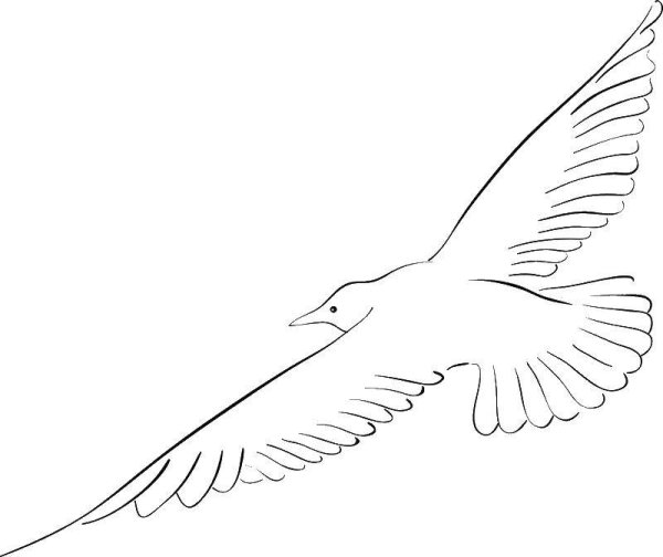 Силуэт Чайки