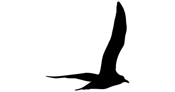 Albatross Design