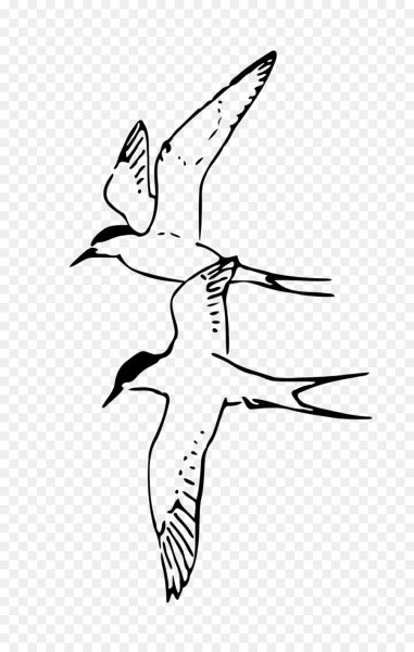 Чайки раскраска для детей