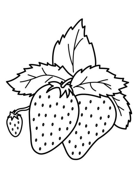 Клубника раскраска