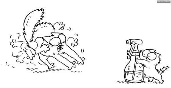 Кот Саймона картинки раскраски