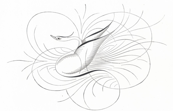 Флоришинг каллиграфия росчерки