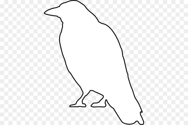 Грач птица контур