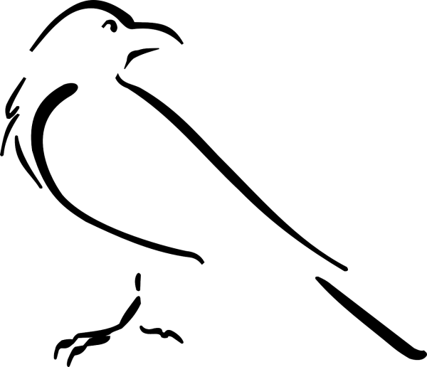 Ворона раскраска для детей