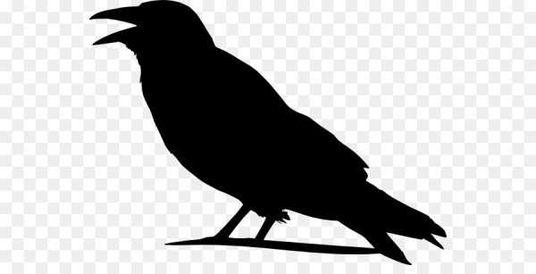 Ворон раскраска для детей