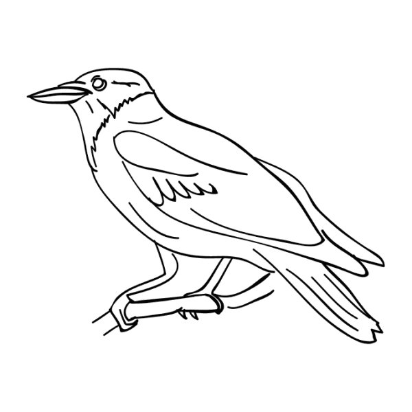 Силуэт Грача для детей