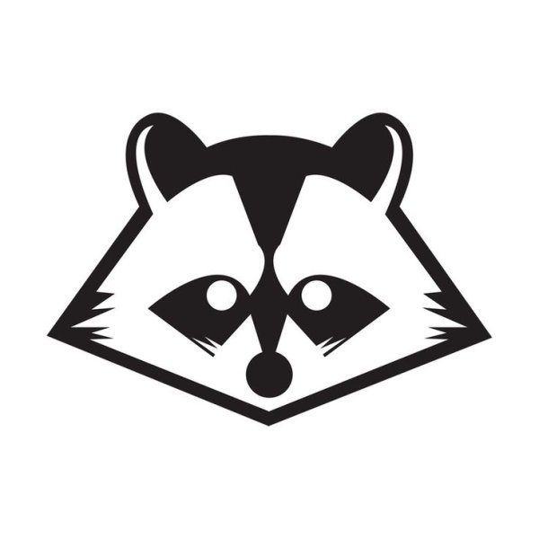 Мордочка енота