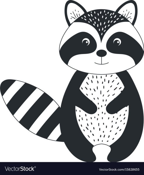Raccoon вектор