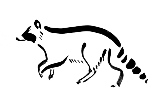 Енот стилизация