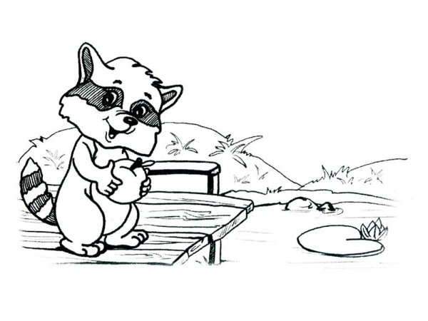 Енот полоскун раскраска