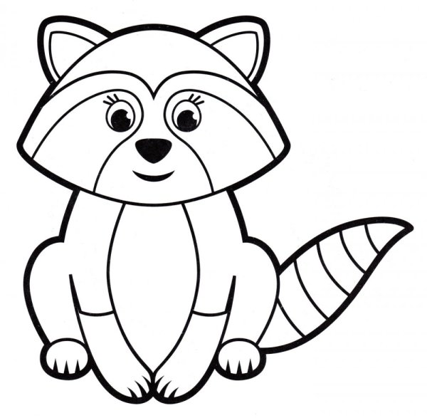 Енот раскраска