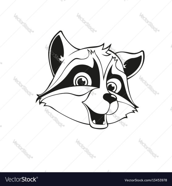 Крошка енот разукрашка