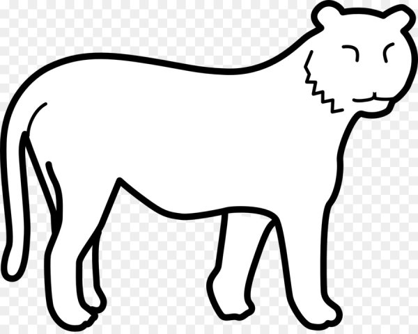 Контуры животных для детей