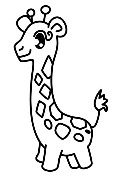 Контурное изображение животных для детей