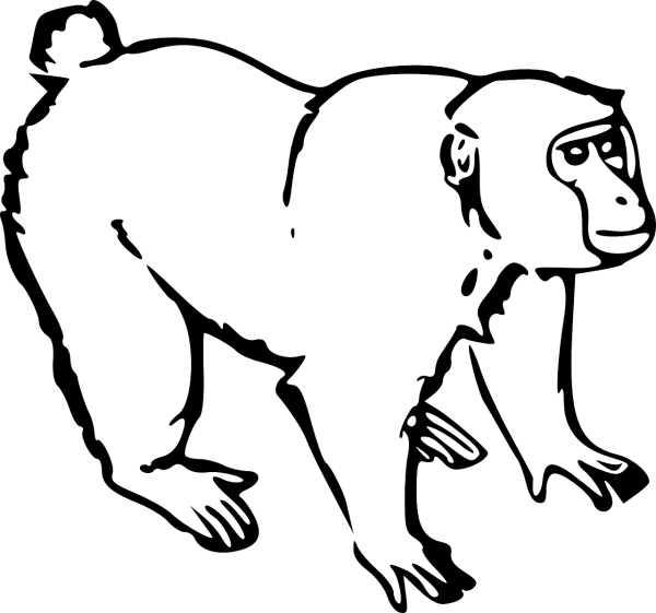 Контурные рисунки животных