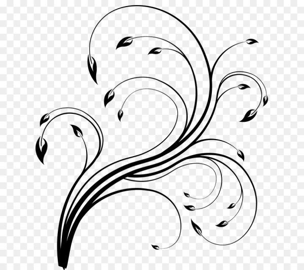 Векторные завитки и орнаменты