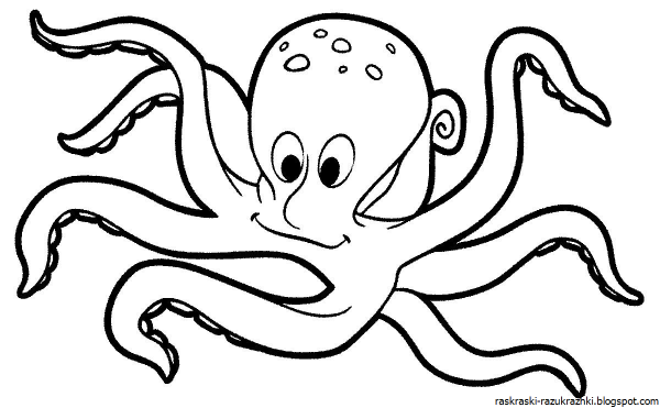 Осьминог шаблон