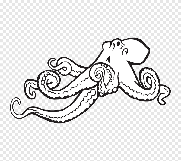 Контур осьминога для детей