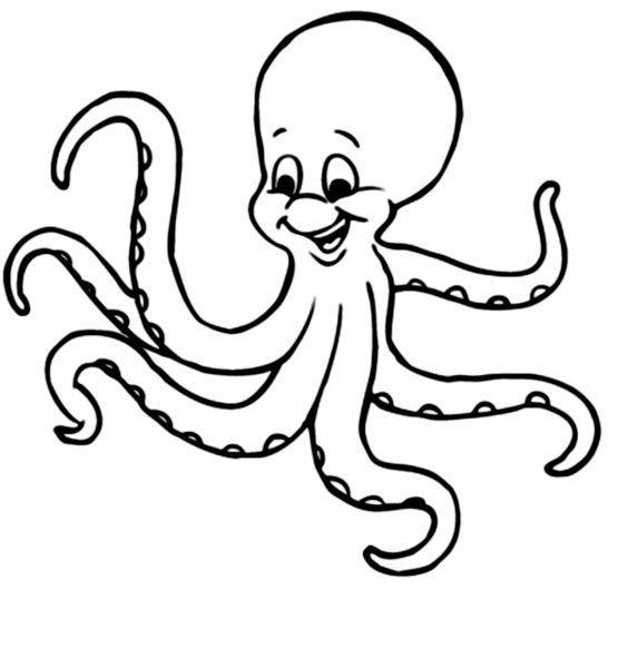 Осьминог рисунок