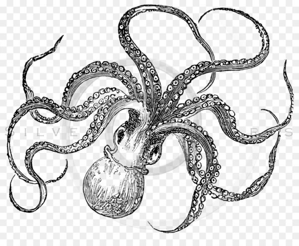 Осьминог ручкой
