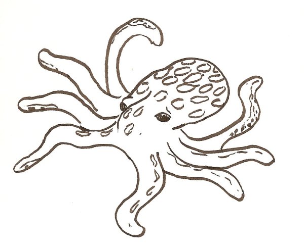 Осьминог раскраска для детей